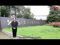 presentación de la empresa