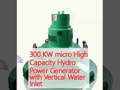 Generador hidroeléctrico de micro alta capacidad de 300 kW con entrada vertical de agua