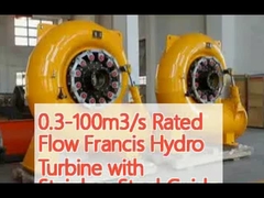 0.3-100 m3/s Flujo nominal Francis Turbina hidráulica con una llanta guía de acero inoxidable y un caudal de entrada de 2 M3/s