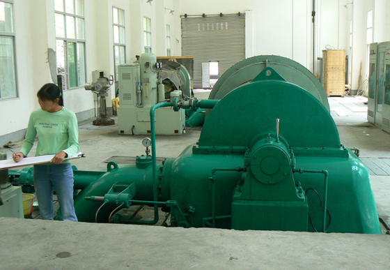 diámetro vertical del corredor del generador de turbina del agua de 500kw Pelton los 0.6m
