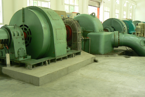 diámetro vertical del corredor del generador de turbina del agua de 500kw Pelton los 0.6m