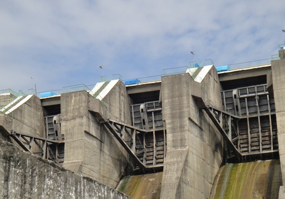acero inoxidable principal bajo 5000kw de la turbina horizontal de Kaplan de la cabeza del agua de los 32m