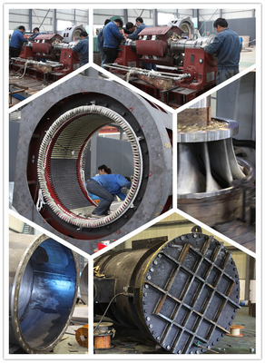 Turbina hidráulica principal inoxidable 550kw 0.4m3/S del acero el 180m Pelton
