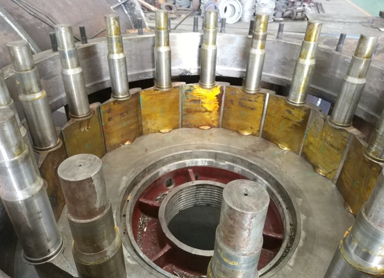 Cuchilla ajustable del corredor de la turbina hidráulica horizontal vertical de Kaplan sin cepillo