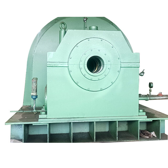 Generador de turbina hidráulica de 700 mm a 4000 mm de diámetro con hasta un 95% de eficiencia y eje de acero forjado para la producción de energía limpia